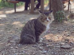 -北京西山国家森林公园