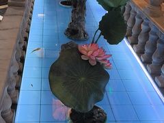 -金指缘足浴(望园路旗舰店)