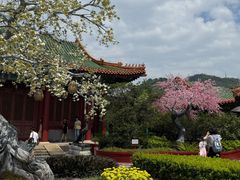 -珠海圆明新园
