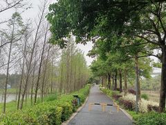 -琅岐红光湖公园