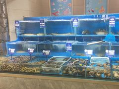 -蓝尊量贩(黄河路店)