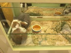 -龙猫仔乐园(惠福东路店)