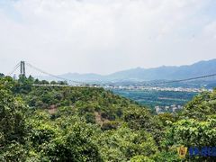 -南丹山森林王国