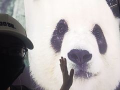 -动物园(地铁站)