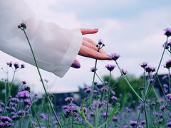 -汉仪华裳汉服旗袍·摄影写真馆(乌镇西栅店)