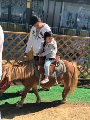 -萌宠亲子动物乐园(槐房万达店)