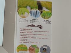 -嘉和一品粥(津华昌道店)