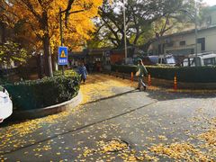 -山东傻大粗粮煎饼(牛街店)