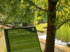 -云溪植物园