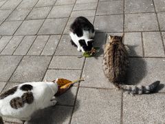 -晓港公园