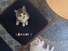 -彳亍咖啡·这里(水湾路店)