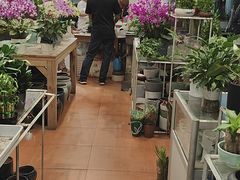 -双季花艺园艺市场(浦东店)