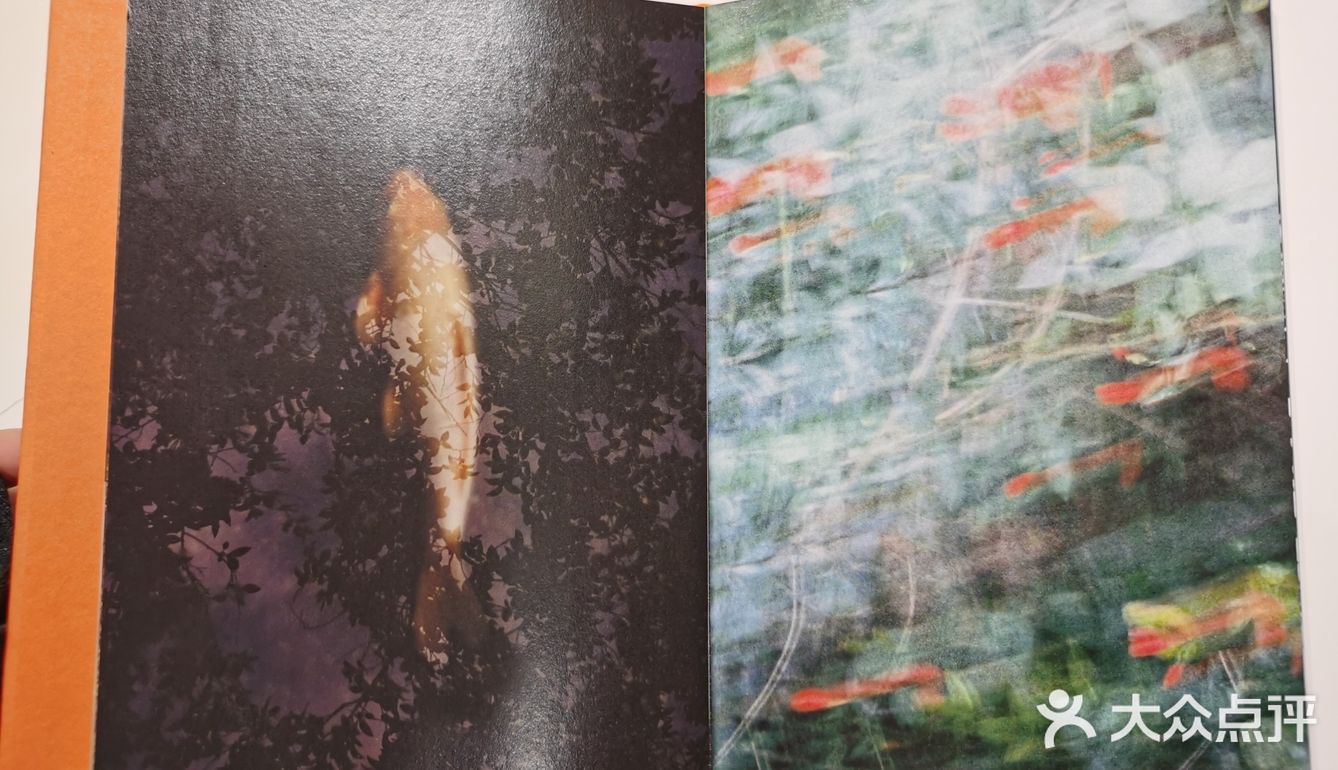 來看 Hakuchi ⁺三週年大展⁺