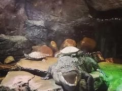 -多彩贵州城极地海洋世界