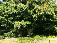 -中国科学院西双版纳热带植物园