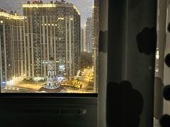 -谢列梅捷沃国际机场