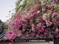 -深圳国际园林花卉博览园