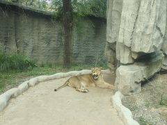 -北京野生动物园