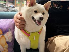 -美联众合24小时动物医院(华苑分院)