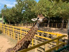 -西霞口神雕山野生动物世界