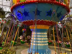 -南宫五洲植物乐园