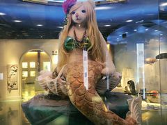 -成都泰迪熊博物馆