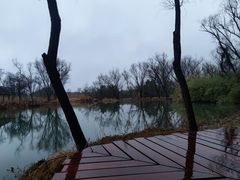 -西溪国家湿地公园