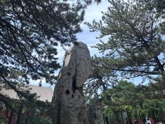 -颐和园