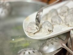 -章记正宗南岗鱼蛋火锅