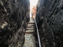 -天女山森林公园