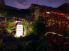 -Jungle Kitchen