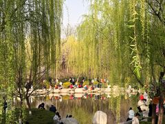 -西安青龙寺遗址景区