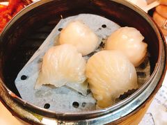 虾饺-点点心点心专门店(湾仔店)