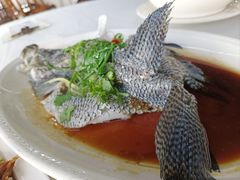 -八仔大富楼·河鲜(西江店)