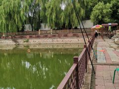 -尚庄度假村·庭台树下·户外烧烤·团建CS·轰趴营地(上庄水库店)
