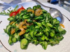 小伙炒黄瓜-船歌·鱼水饺青岛菜(金狮广场店)