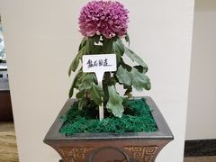 -小榄人家酒楼(民安店)