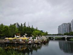 -陈家山荷花公园