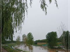-洨河生态公园