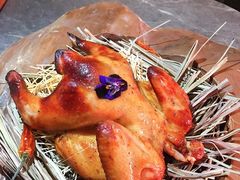 -Hi City·城市之巅