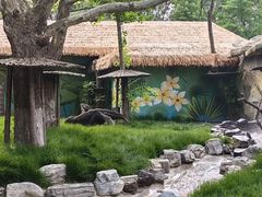 -北京野生动物园