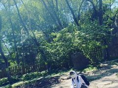 -黑龙江省森林植物园