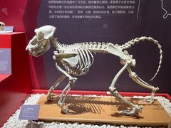 -国家自然博物馆