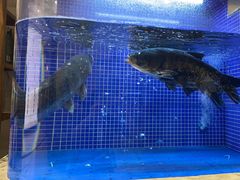 -香山湖渔家大院