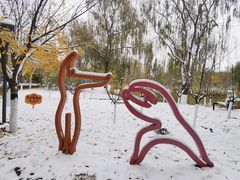 -大兴滨河森林公园