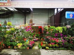 -金科花卉市场