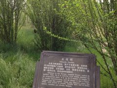 -曹州牡丹园