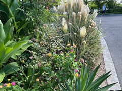 -昆山城市生态森林公园