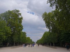 -杜乐丽花园