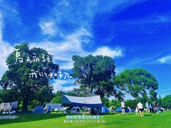 -上海滨江森林公园